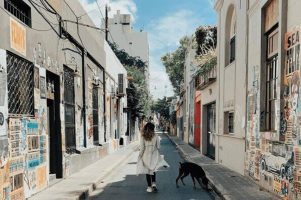 Apartament Ph Reciclado A Nuevo En Palermo Soho Buenos Aires Zewnętrze zdjęcie